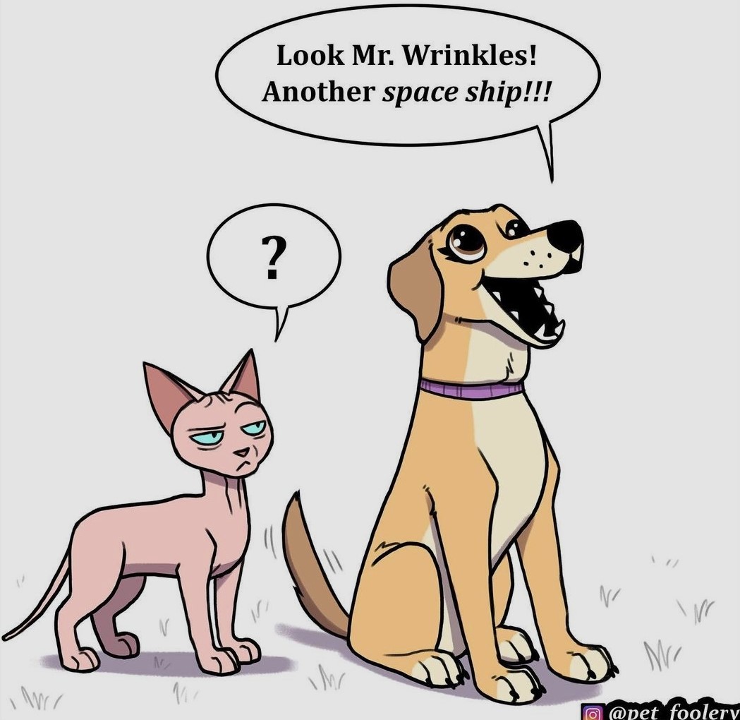 Комикс про животных 